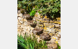 Espinas: escalier mural sans fin