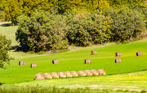 Travaux des champs après L'Encournat