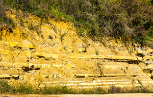 Beaux bancs calcaires (Jurassique inférieur)
