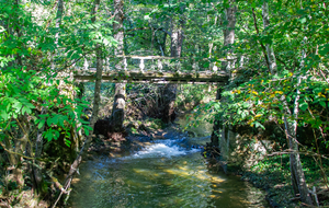  Passerelle sur la Bonnette