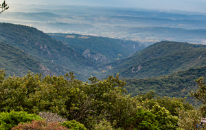 Vue sur la plaine de Carcassonne