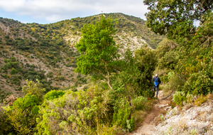 Nouvelle descente périlleuse dans le ravin de Matte Arnaude avec une belle végétation (Chêne vert, thym, romarin… : la garrigue !) 