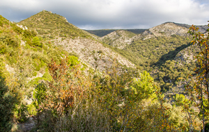 Ravin de Matte Arnaude 