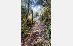 Nouvelle forte montée caillouteuse vers la stèle commémorative des combats de Trassanel