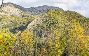  Ravin et Pech de Laure.