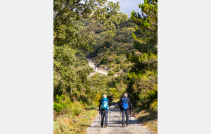 Interminable montée jusqu'à Matte Arnaude en faux plat 