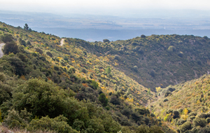 Regard arrière sur l'interminable montée jusqu'à Matte Arnaude en faux plat 