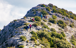 On the Roc (avec modération!)