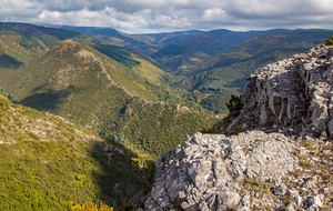 Cabrespine en contrebas de la falaise nord