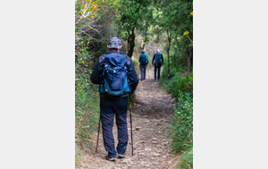 Retour sur le sentier botanique 