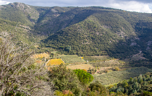 Vallée de la Clamoux