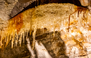 Disque et fistuleuses