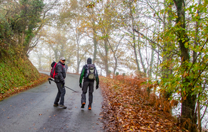 Longue montée dans le brouillard sur le macadam à partir de Roucayrols  passé Fageolles