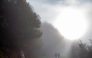  A hauteur de Malagousse