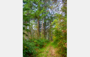 Descente  vers La Claverie 