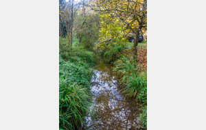 Traversée du ruisseau de Malagousse au Moulin de La Resse