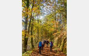 Belle remontée dans des châtaigneraies par Frayssinel