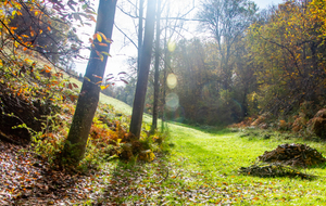 Aux abords de la D53