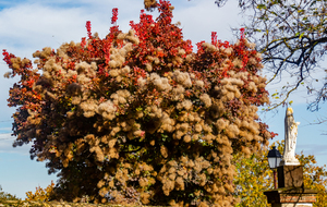 Entrée de St André