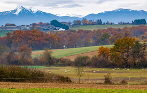 Le Cagire et les Pyrénées vus du Fond du Bois