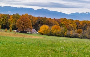 Les Pyrénées et le Cagire se couvrant vus de Cap Det Bosc