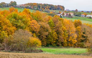 Vue ouest sur Proupiary