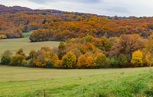 Paysage d'automne vue du quartier Jean Nègre