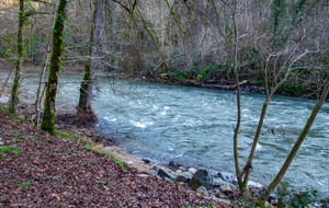 L'Aveyron à Grèzes 