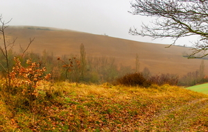 Dans la montée de St Roc 
