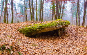 Dolmen de Peyrelevade