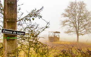 Causse de Lugan : Clin d'œil à notre trésorière!!