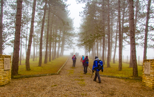 Cimetière espagnol de Las Places 