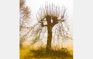 Route de Charles à Fount Cayrade