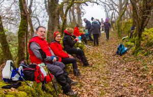 Plantounets pour une pause repas 