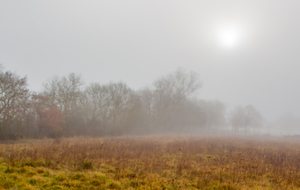 Chemin de la Demoiselle