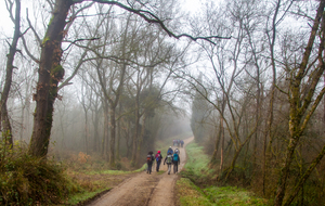 Chemin de terre vers Le Fort 
