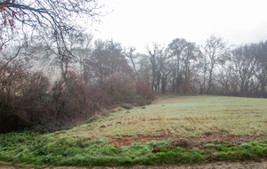 Direction nord vers le bois du Fort 