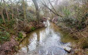 Retraversée du ruisseau de Bassens 