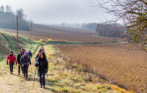 Le long de la partie ouest du parc photovoltaïque de Saint Martin Lalande