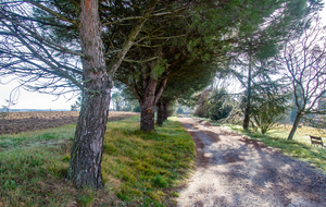  Sur le GR7,  Entrée  sur Le Falga