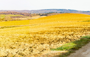 Chemin de la Serre en passant La Masquière