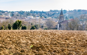  Clocher de l'abbaye de Saint Papoul