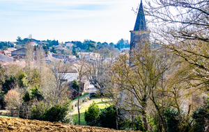  Clocher de l'abbaye de Saint Papoul