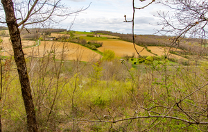 Forêt Royale de Grand Selve: vue sur le vallon du ruisseau du Lambon