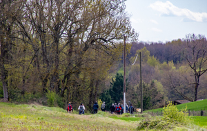 Retour sur nos pas: Bois de Bouscarras