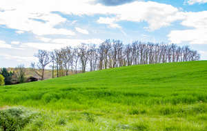 Retour sur nos pas: culture à Grand Selve