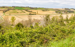 Dernière vue sur la vallée du ruisseau de Nadesse au bas de Bouillac