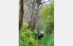 Descente  par Le Colombié, jusqu'au ruisseau de Rieubaquié 