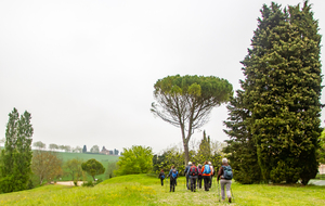 Chemin de Gaillaguet: arrivée au domaine de Gailhaguet