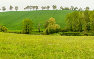 Vue du domaine de Gailhaguet: le coteau de Verfeil à l'église Saint-Sernin des Rais 